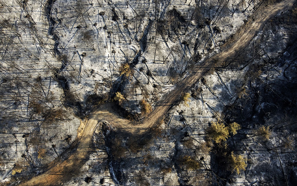 arogi-gov-gr-σε-λειτουργία-η-πλατφόρμα-για-τους-π-561469633