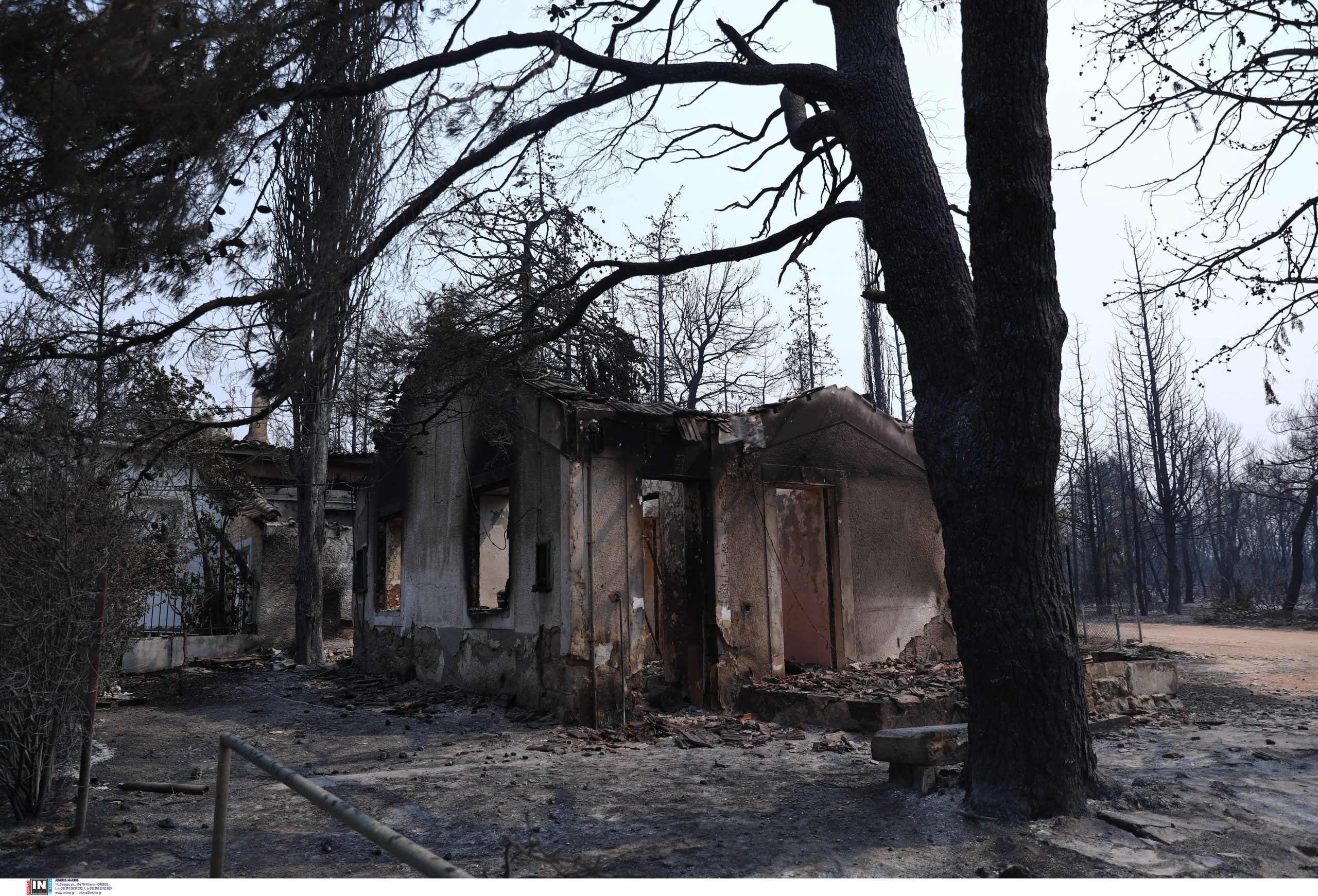 φωτιές-ολοκληρώθηκαν-2-000-αυτοψίες-στις-561469198