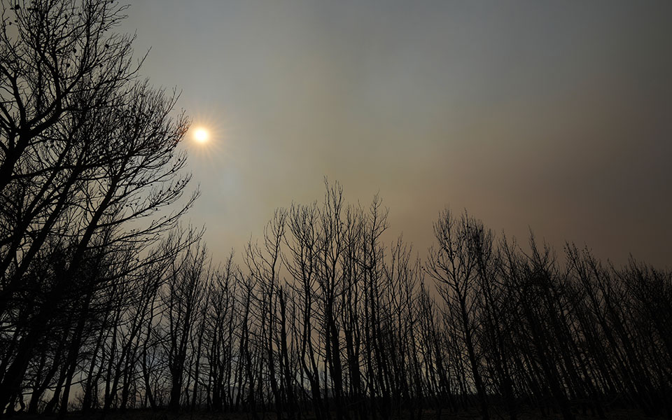 financial-times-έκρηξη-δασικών-πυρκαγιών-στη-μεσό-561461392