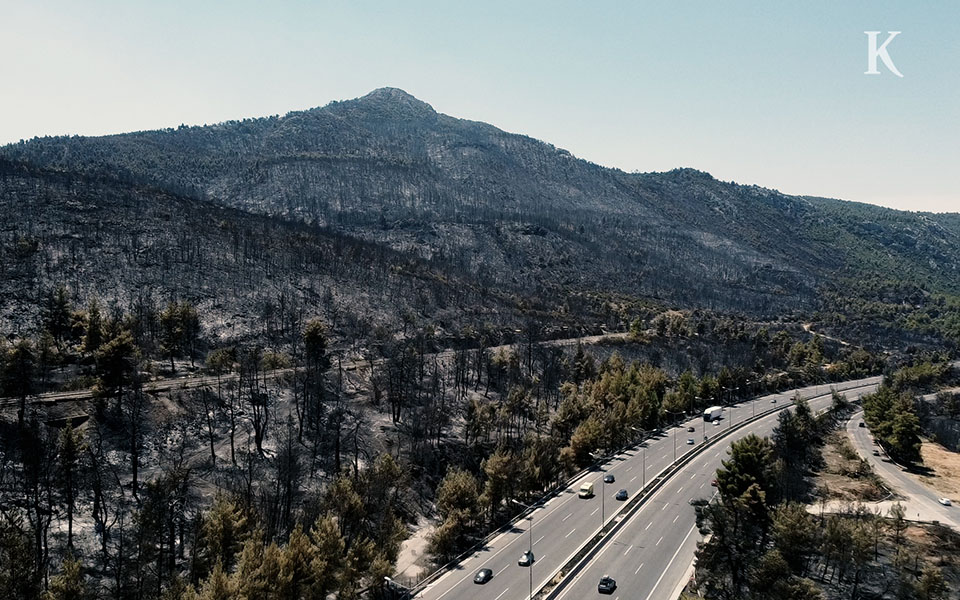 φωτιές-στην-αττική-αυτοψία-της-κ-στι-561462100