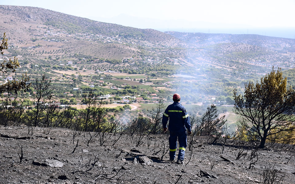 φωτιά-στην-κερατέα-βρέθηκαν-υπολείμμ-561470527