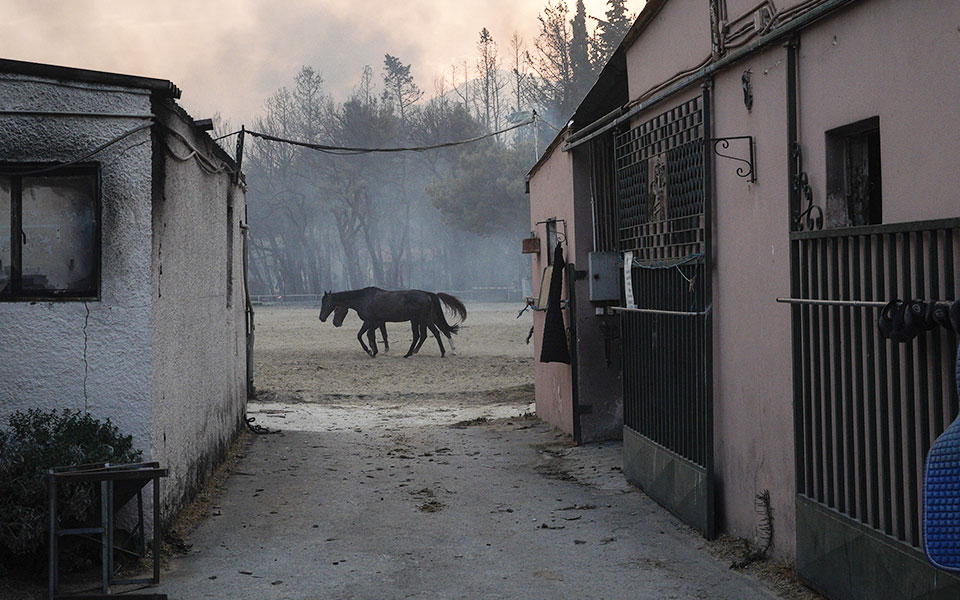 φωτιά-στη-βαρυμπόμπη-κύμα-συμπαράστα-561457735