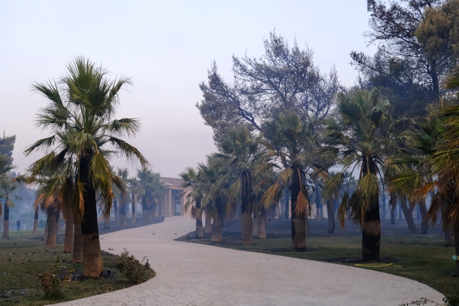 Φωτιά στη Βαρυμπόμπη: Το μέγεθος της καταστροφής σε εικόνες-4