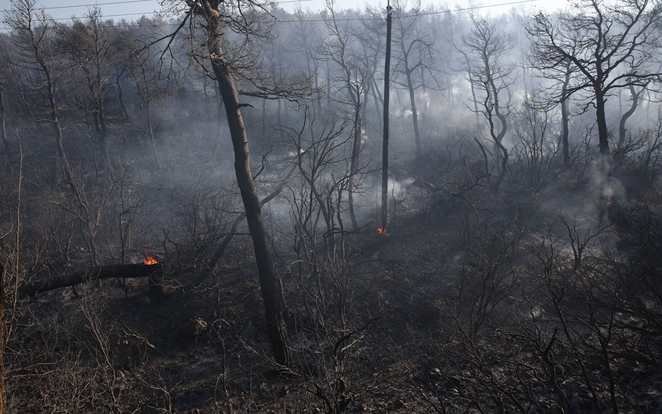 στη-βουλή-οι-πνπ-για-τις-πυρόπληκτες-πε-561473164