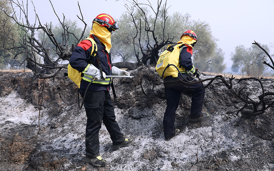 χαλκιδική-σε-ύφεση-η-φωτιά-στη-σιθωνία-561466294