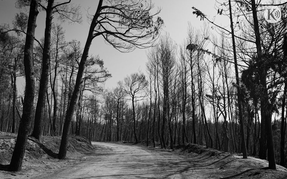 ράδιο-κ-η-πυροπροστασία-οι-ανεμογεν-561465370