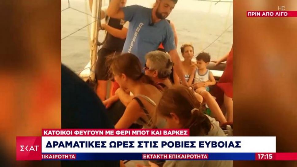 Φωτιά στην Εύβοια: Οι φλόγες έφτασαν στη θάλασσα στις Ροβιές (βίντεο)-2