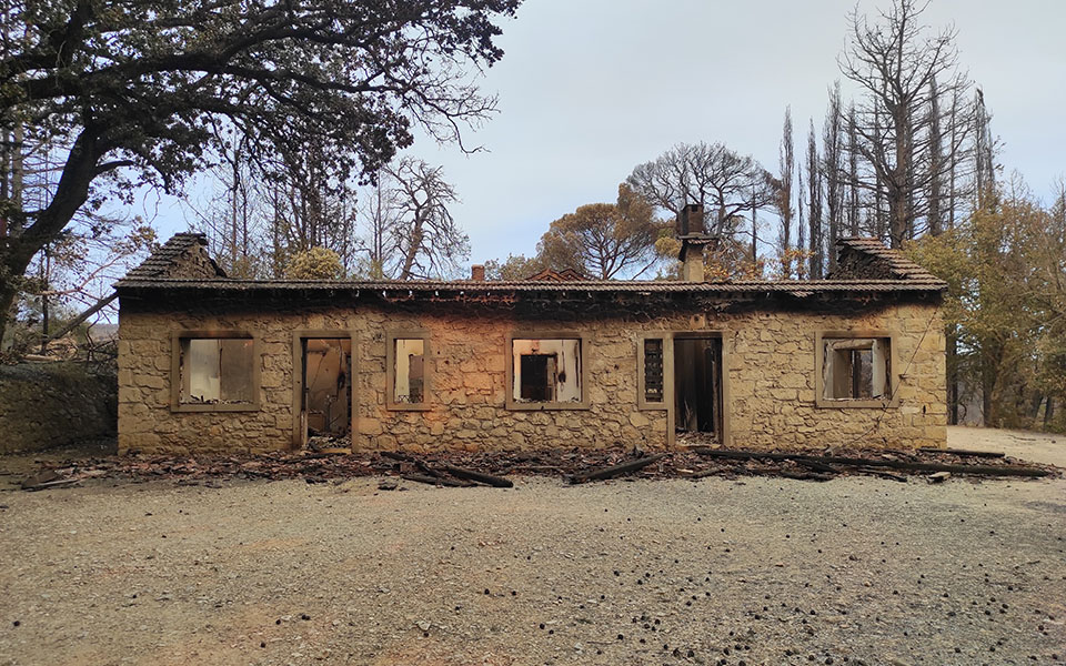 Φωτιές στην Αττική: Κάηκε κοντέινερ με αντικείμενα στο Τατόι-9