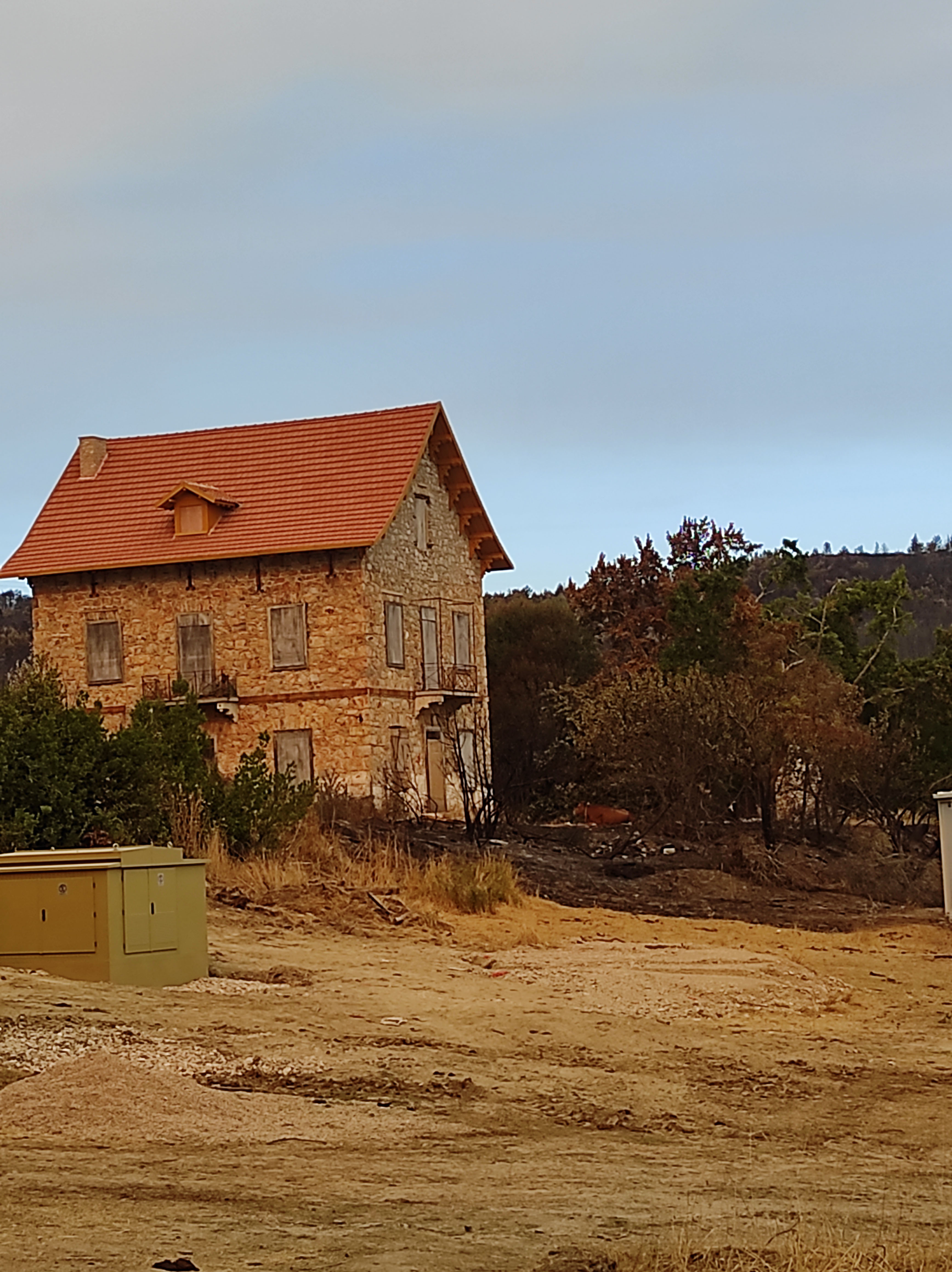 Φωτιές στην Αττική: Κάηκε κοντέινερ με αντικείμενα στο Τατόι-7