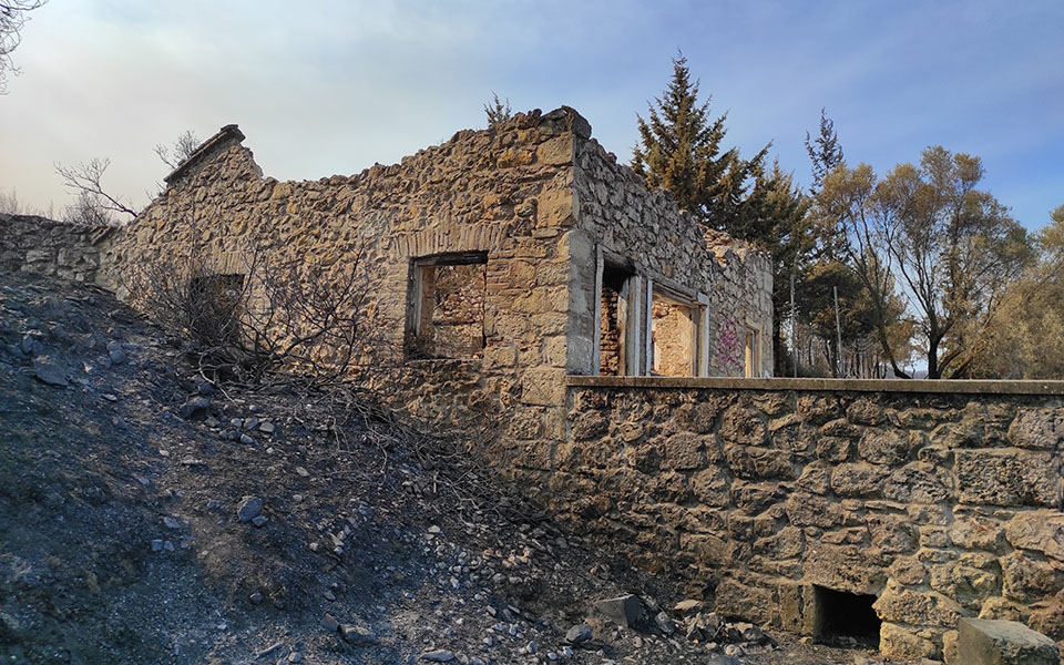 Φωτιές στην Αττική: Κάηκε κοντέινερ με αντικείμενα στο Τατόι-11