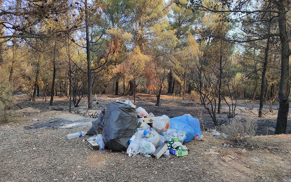 Φωτιές στην Αττική: Κάηκε κοντέινερ με αντικείμενα στο Τατόι-5
