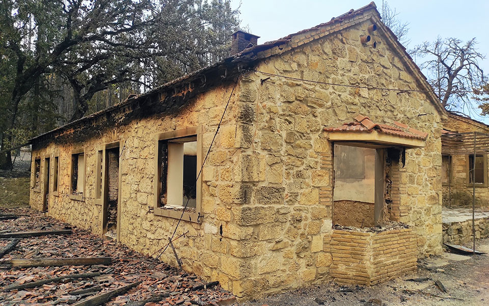 Φωτιές στην Αττική: Κάηκε κοντέινερ με αντικείμενα στο Τατόι-10