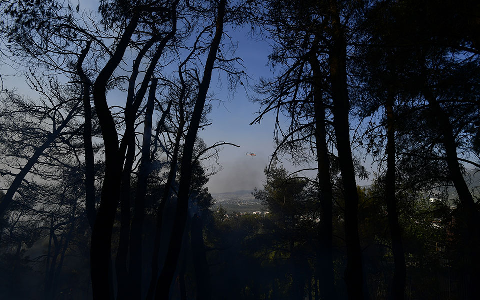 Φωτιές στην Αττική: Αγωνιώδης μάχη ενάντια στις αναζωπυρώσεις – Σε ύφεση η πυρκαγιά στην περιοχή της Μαλακάσας-1