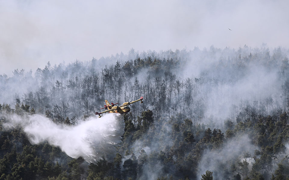 δήμαρχος-μάνδρας-για-φωτιά-στα-βίλια-561468061