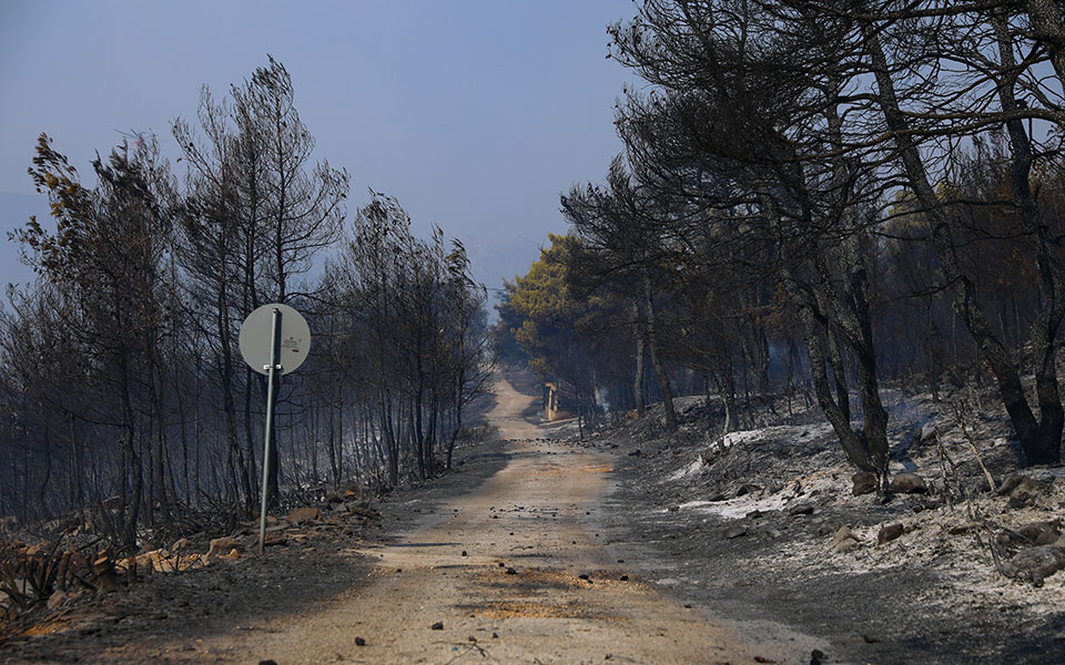 γιατί-συνεχίζει-να-καίει-η-φωτιά-στα-βί-561470506
