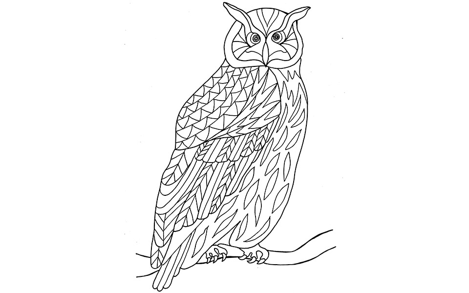 χρωματίστε-με-561505648