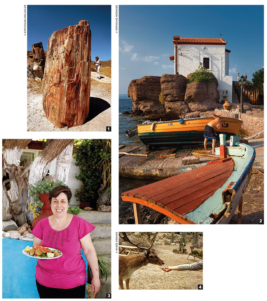 Βορειοανατολικό Αιγαίο: H τέλεια μέρα μου-1