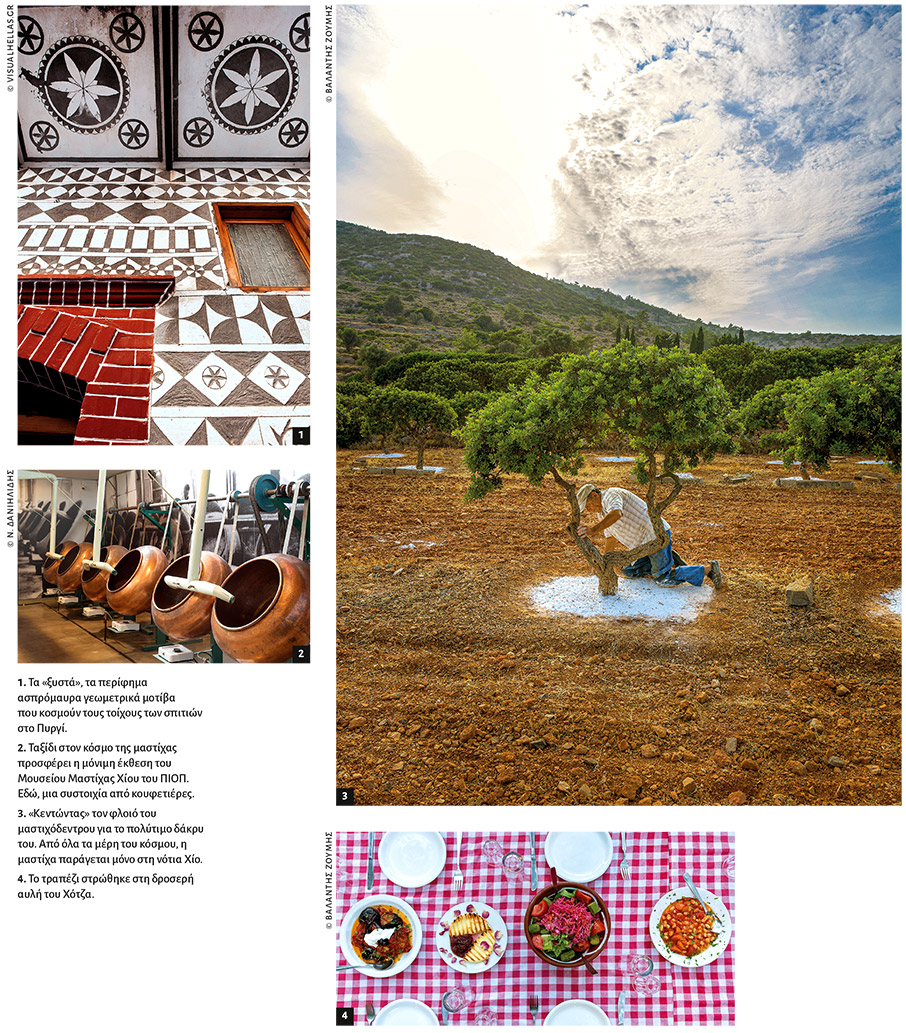 Βορειοανατολικό Αιγαίο: H τέλεια μέρα μου-3