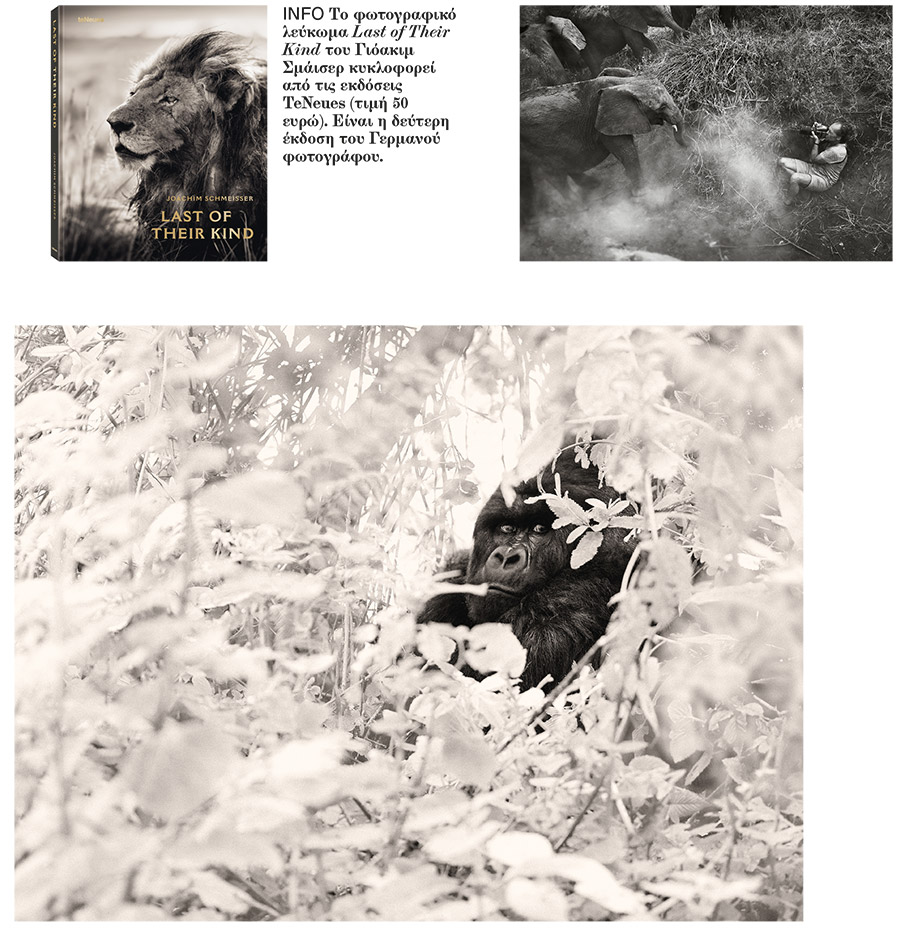 Οι τελευταίοι της σαβάνας-7