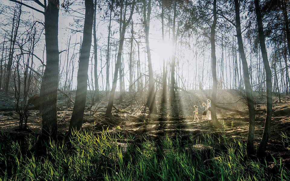 θα-επιστρέψουμε-στη-βόρεια-εύβοια-561508783
