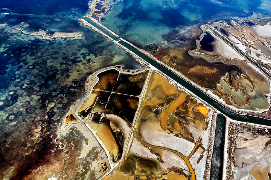 Ζωή στο νερό-2