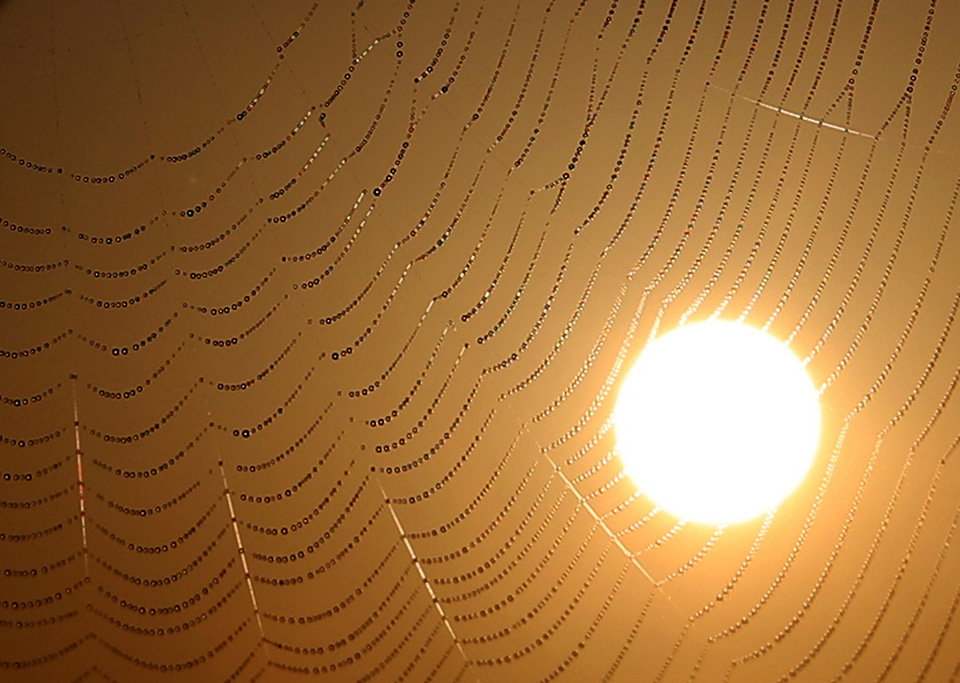 η-πάλη-561490114