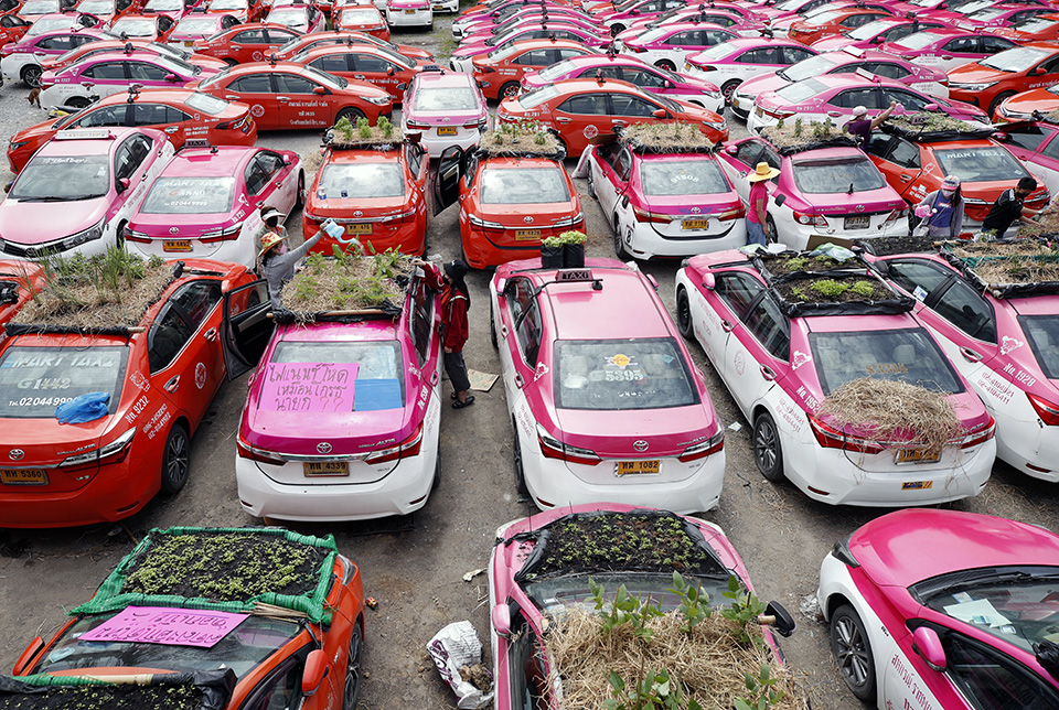 Κήποι σε τέσσερις τροχούς