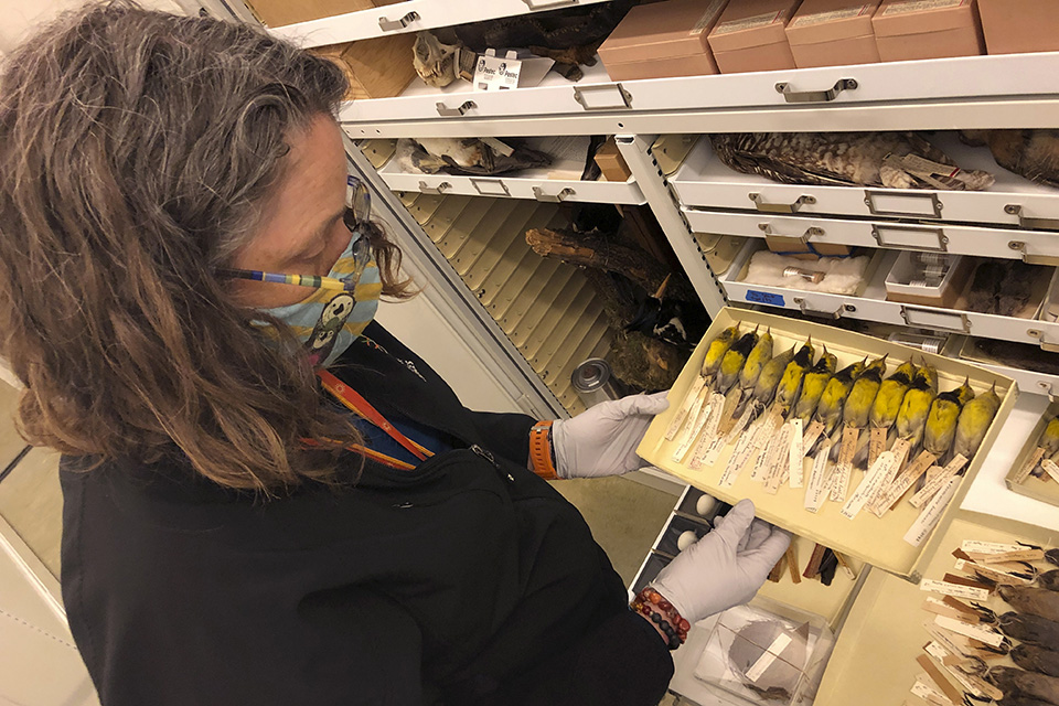 Τίτλοι τέλους