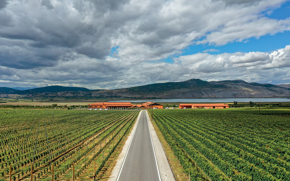 ελληνικό-κρασί-λίγο-πιο-ψηλά-561516004
