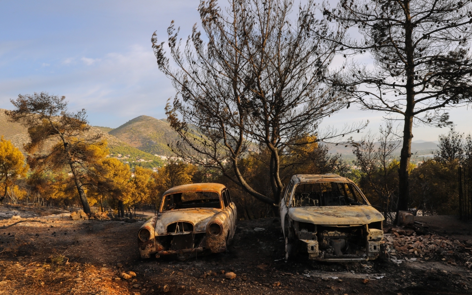 Φωτιά στη Νέα Μάκρη: Σε ύφεση το μέτωπο – Εικόνες καταστροφής-6