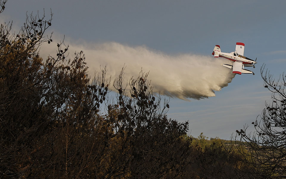 υπό-μερικό-έλεγχο-οι-πυρκαγιές-σε-ηλεί-561507262