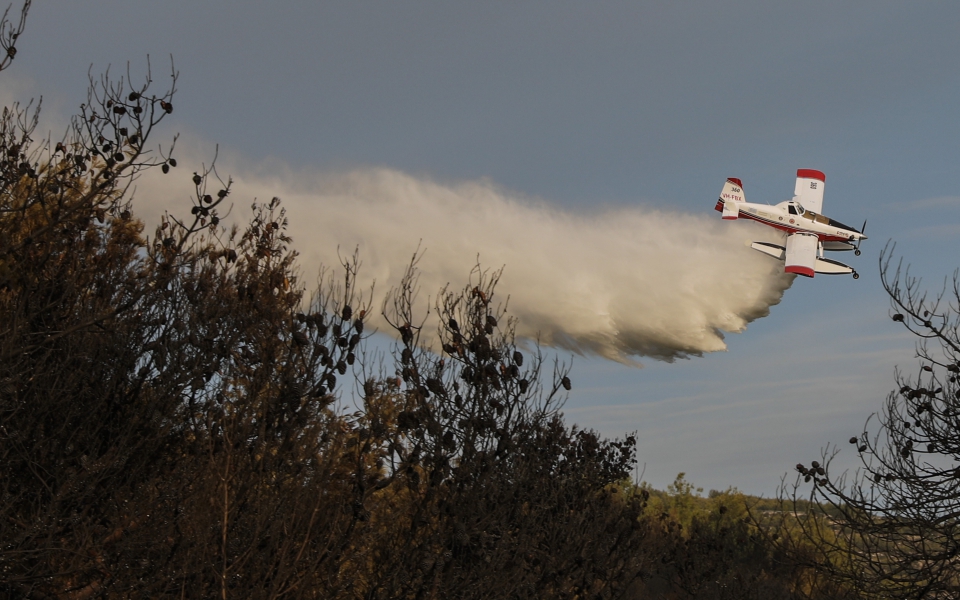 Φωτιά στη Νέα Μάκρη: Σε ύφεση το μέτωπο – Εικόνες καταστροφής-3