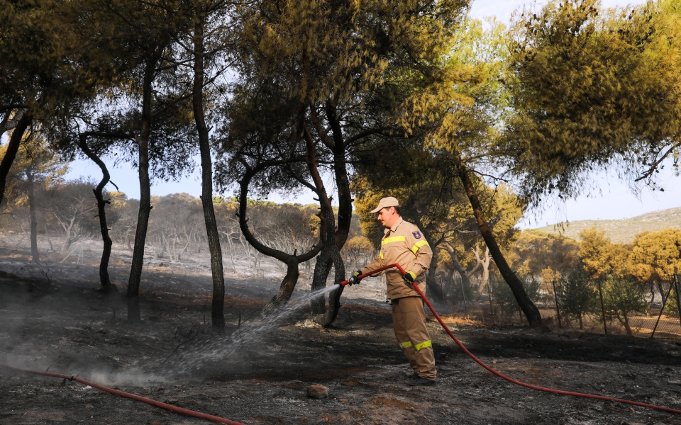 Φωτιά στη Νέα Μάκρη: Σε ύφεση το μέτωπο – Εικόνες καταστροφής-2