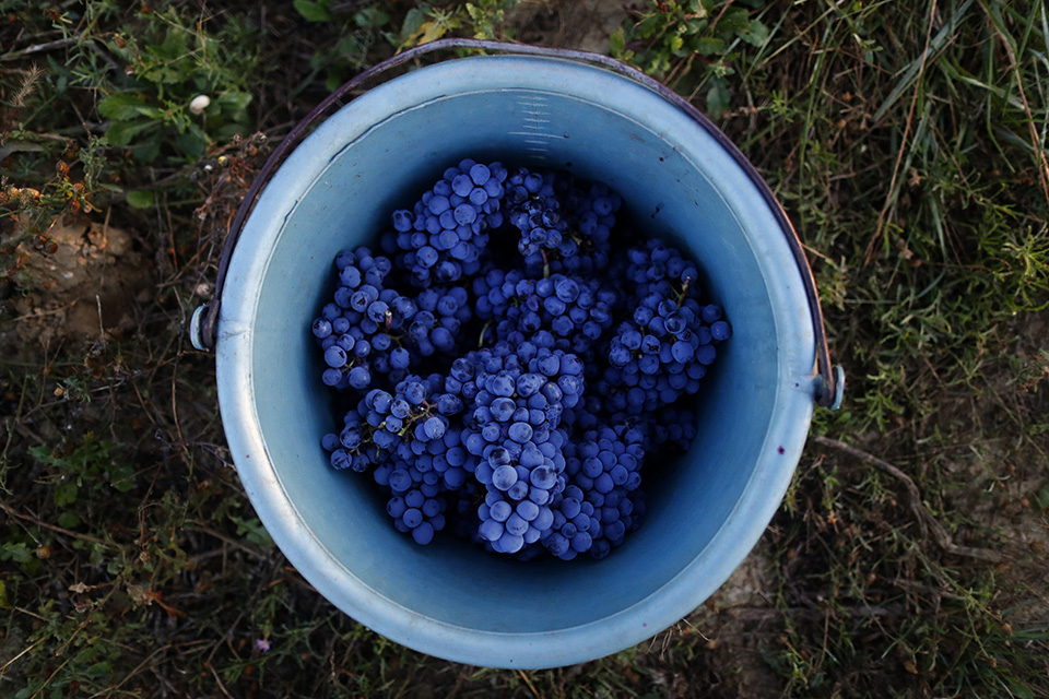 Λιγότερο κρασί