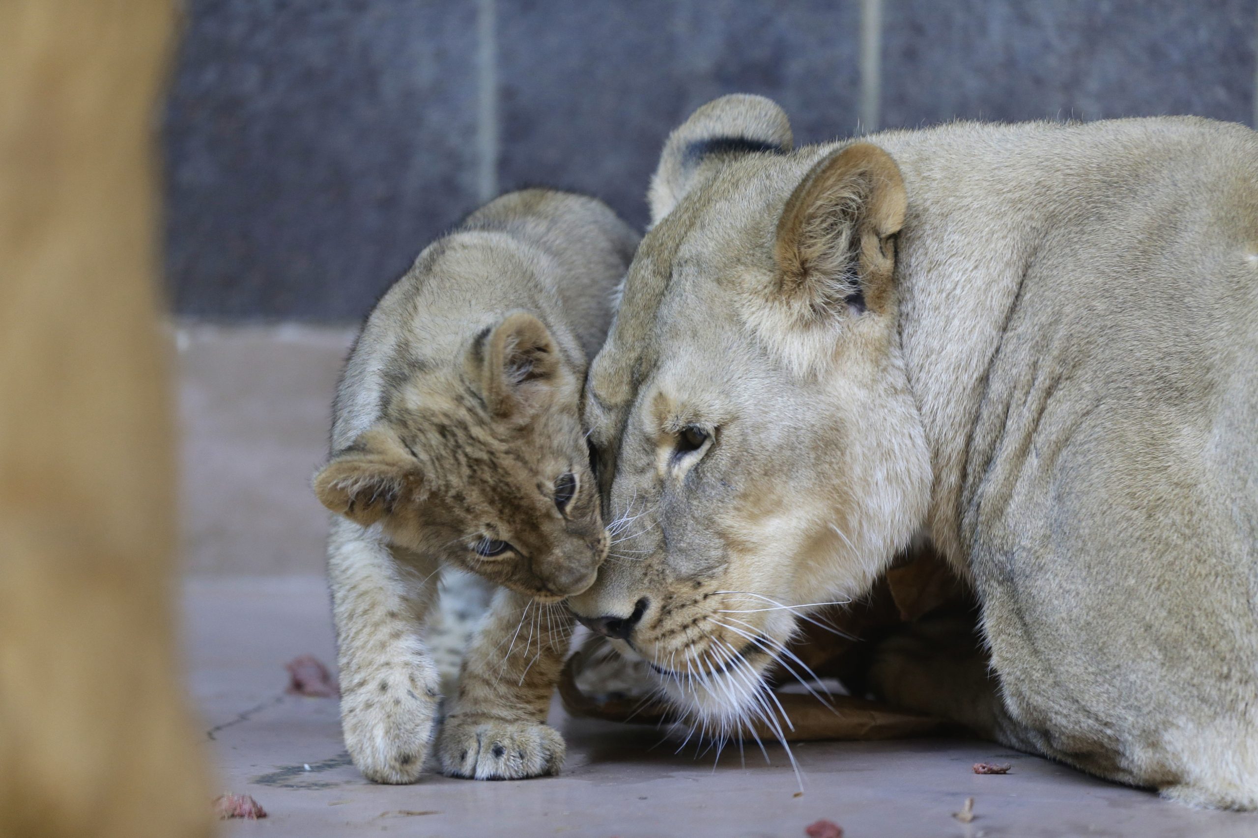 ουάσιγκτον-θετικά-στον-κορωνοϊό-έξι-λ-561503230