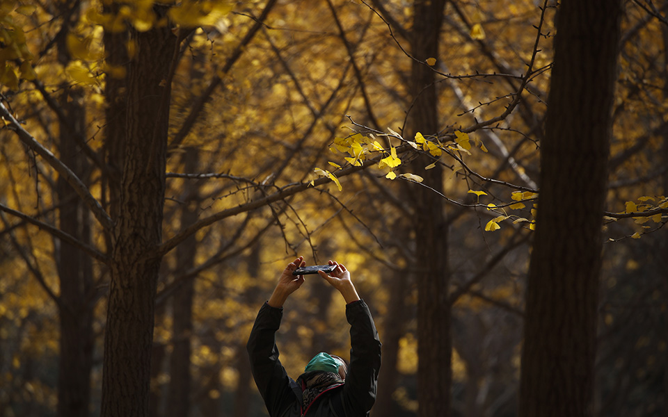αρχίζει-τυπικά-το-φθινόπωρο-από-το-βρά-561506314