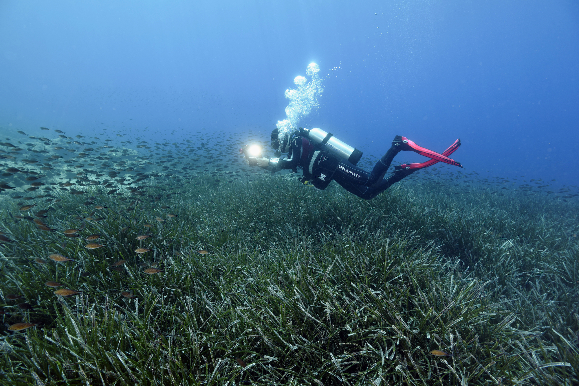η-υποθαλάσσια-έρημος-έγινε-ξανά-καταφ-561486769