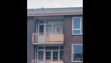 δύο-νεκροί-από-επίθεση-με-βαλλίστρα-στ-561502588