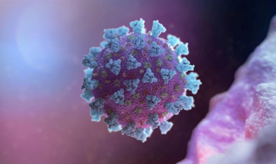κορωνοϊός-οι-μεταλλάξεις-του-συνιστο-561487924