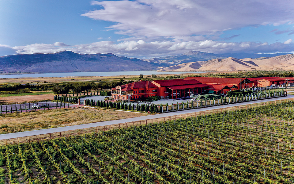 Ελληνικό κρασί λίγο πιο ψηλά-4