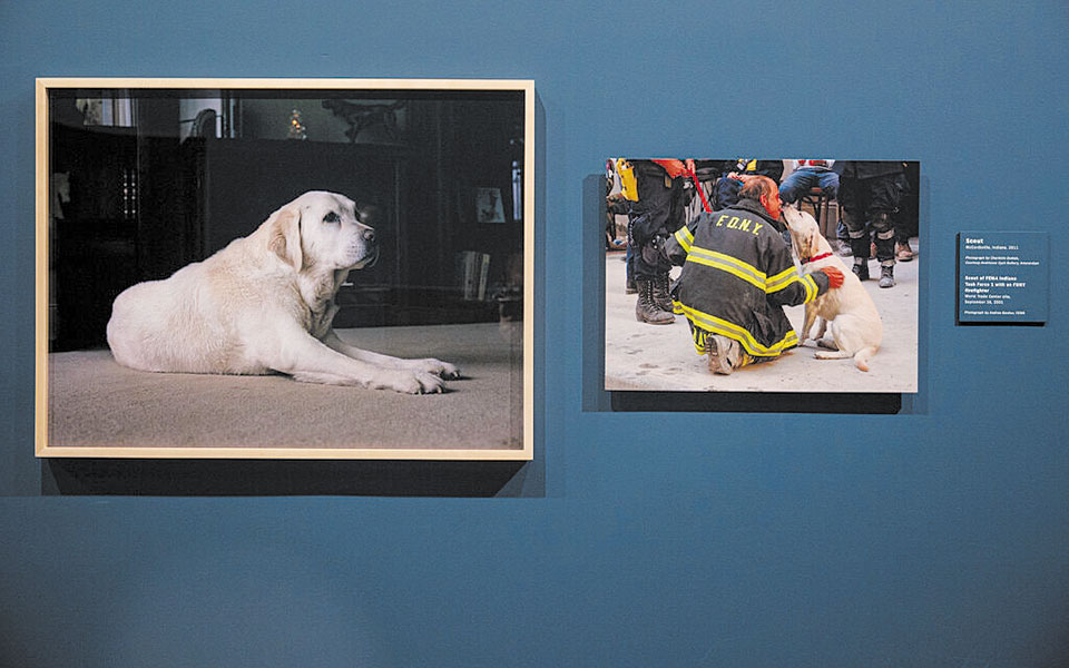 Οι σκύλοι της 11ης Σεπτεμβρίου-1