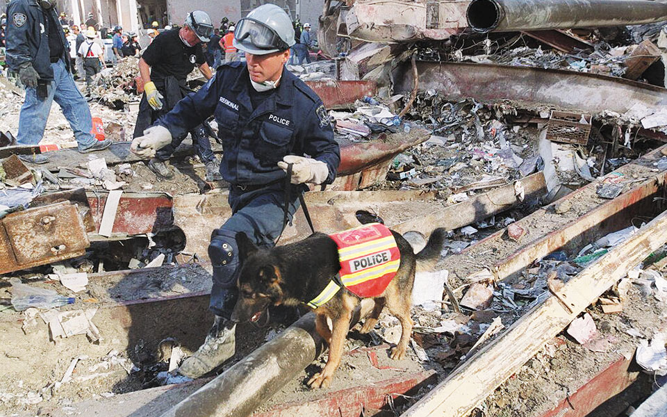 οι-σκύλοι-της-11ης-σεπτεμβρίου-561481972