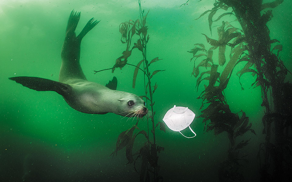 οι-εντυπωσιακές-φωτογραφίες-του-2020-561481993