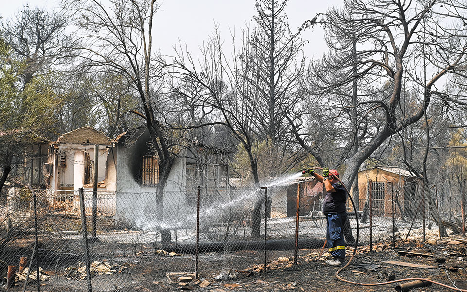 απλούστερη-η-κοπή-δένδρων-561481537