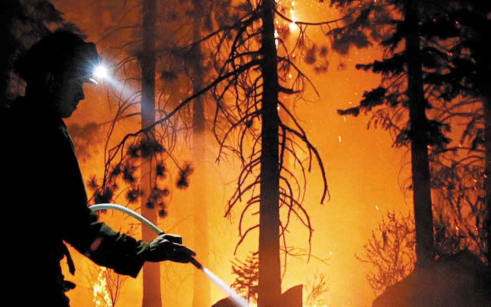 προς-εξαφάνιση-ένα-στα-τρία-είδη-δέντρ-561483724