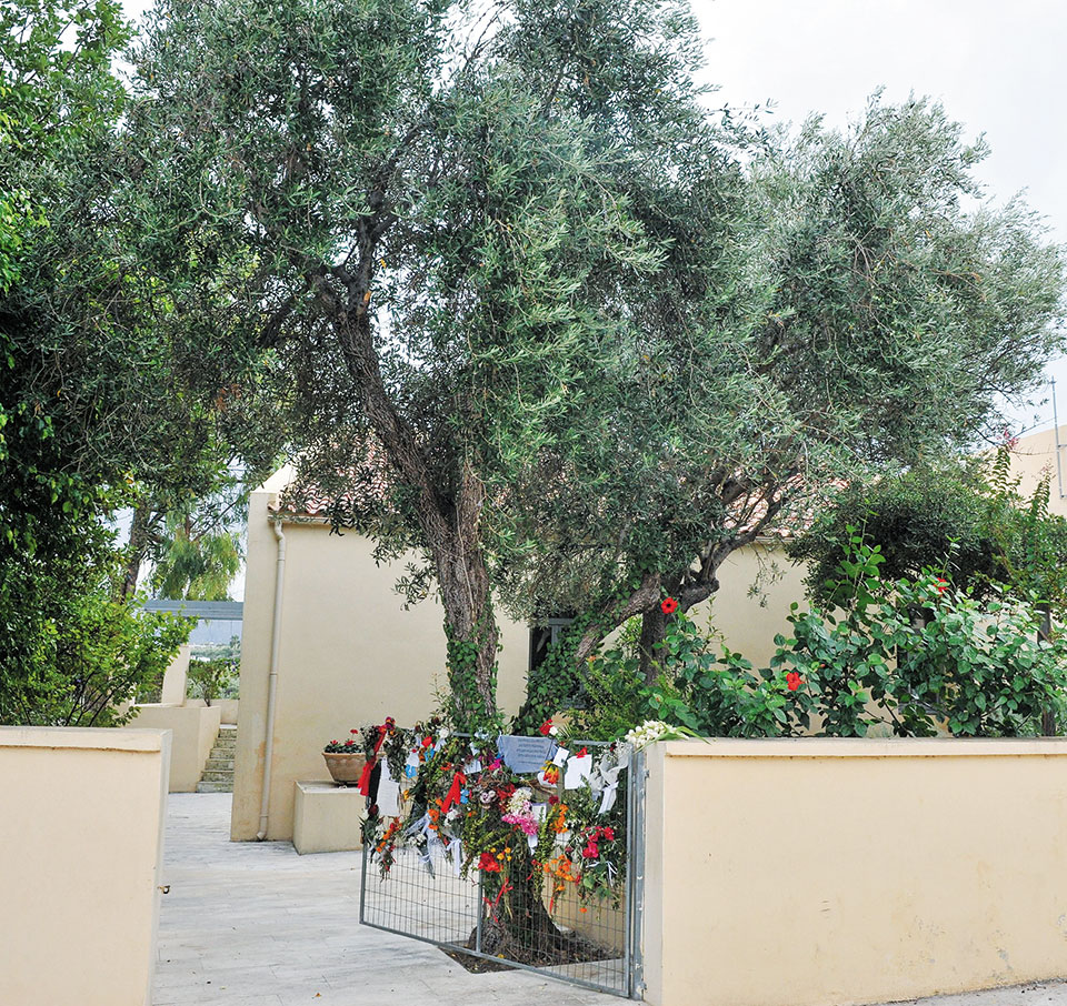 Ο Γαλατάς περιμένει τον Μίκη Θεοδωράκη: «Είναι τιμή που επιστρέφει ο συγχωριανός μας»-2