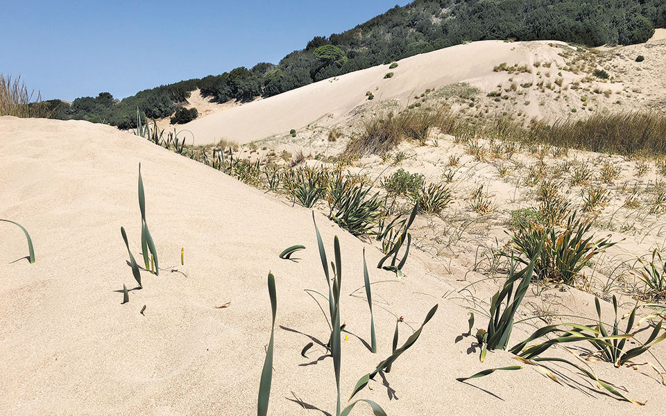 Ασπίδα προστασίας για οικοτόπους και απειλούμενα είδη ζώων και φυτών-3