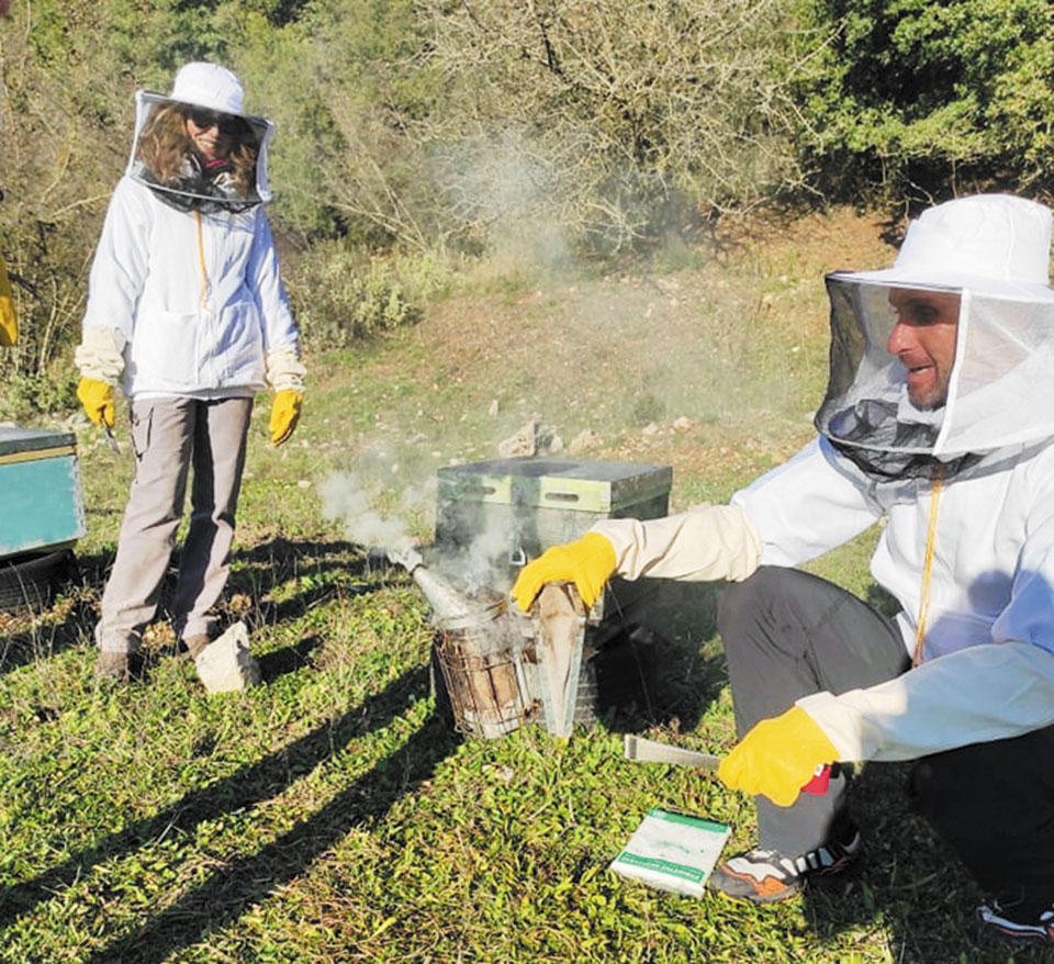 Δημόσια ΙΕΚ: Νέα προγράμματα σπουδών σε απαραίτητες ειδικότητες-1