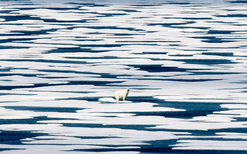 το-παράξενο-ταγκό-του-καύσωνα-με-τον-πα-561495907
