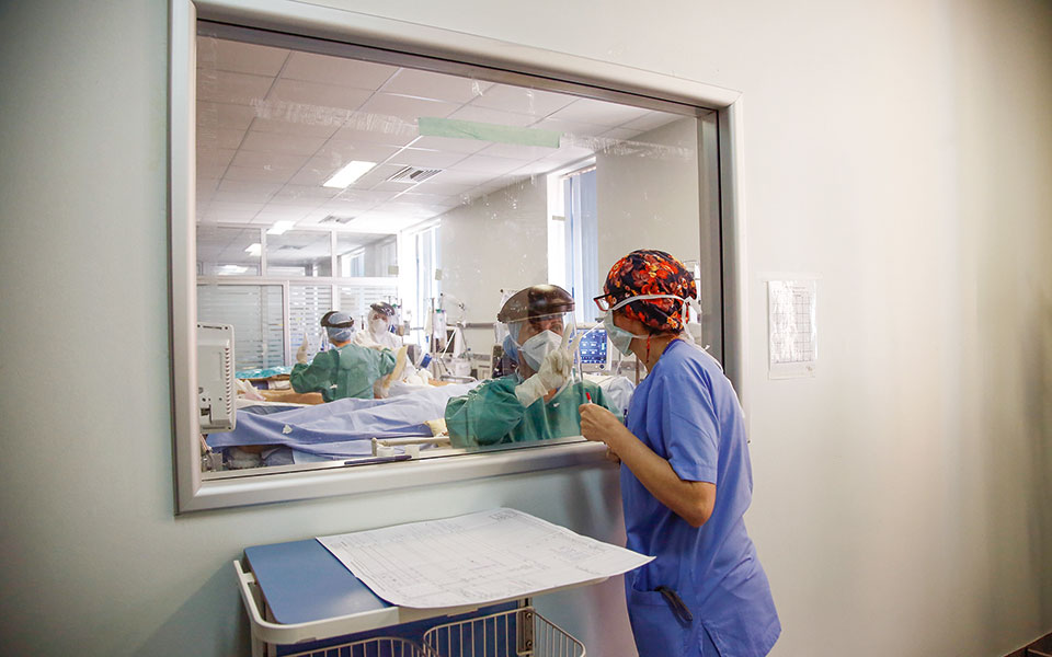 θύλακοι-παρανομίας-πίσω-από-τους-αρνη-561495826